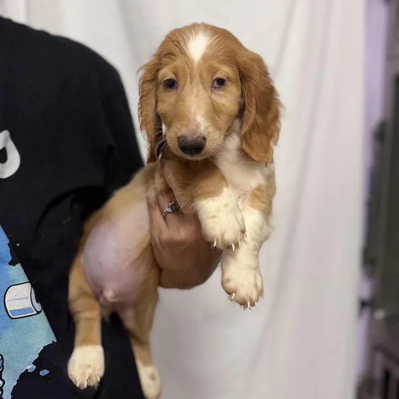Zach thumbnail 4