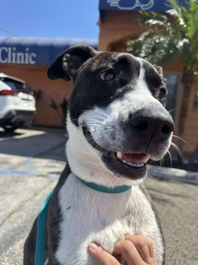 Babygirl thumbnail 2