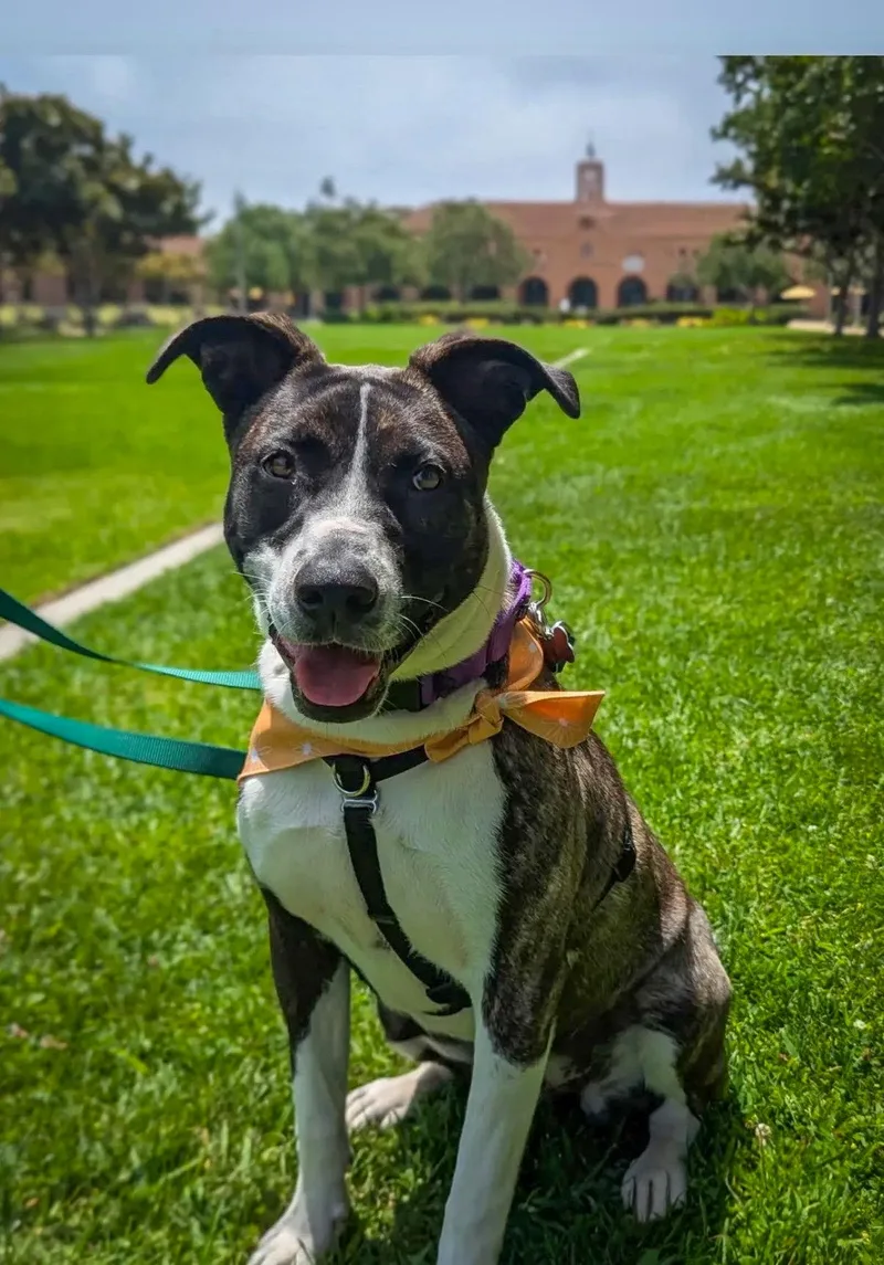 Babygirl thumbnail 3