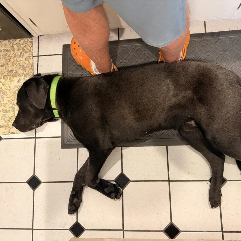 Quicksilver "q" thumbnail 2