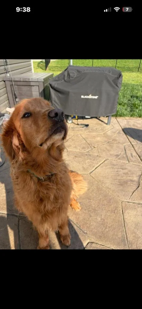 Charlie