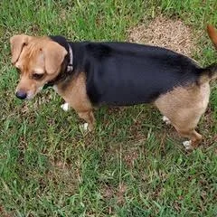 Baby Ruth thumbnail 2