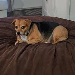 Baby Ruth thumbnail 3