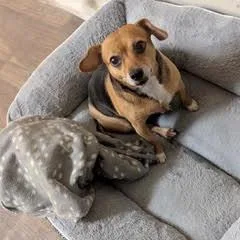 Baby Ruth thumbnail 4