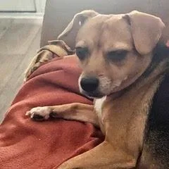 Baby Ruth thumbnail 6