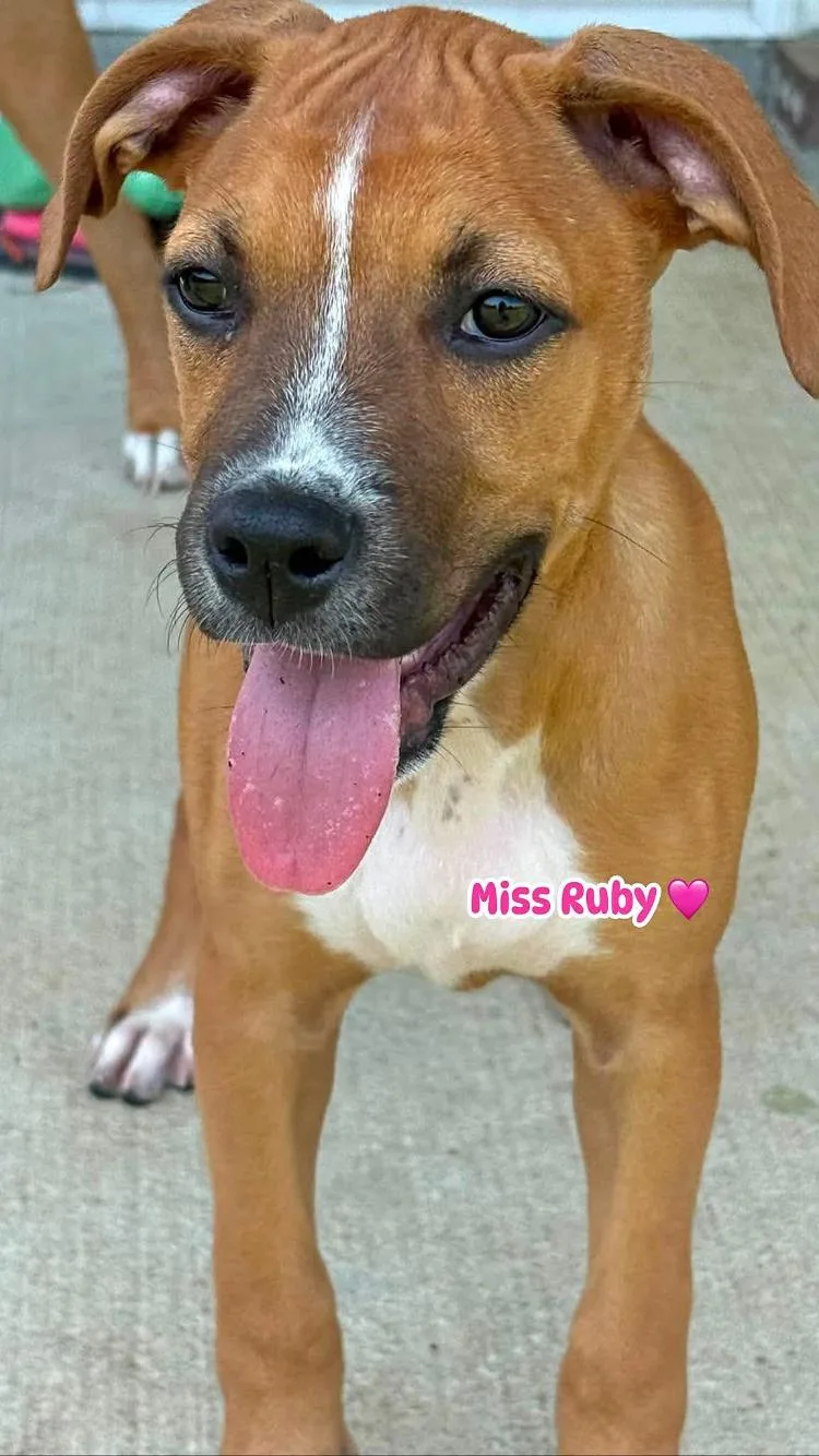 Miss Ruby