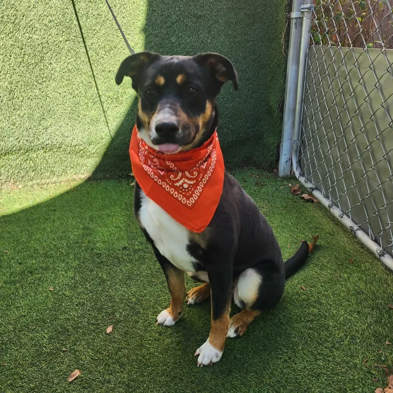 Caroline thumbnail 3