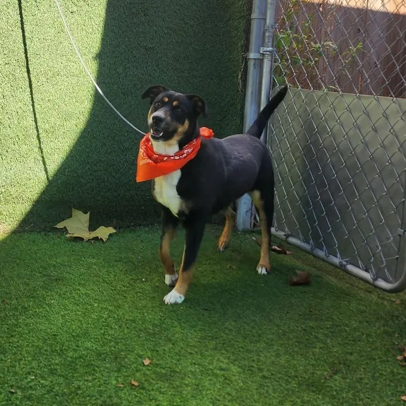 Caroline thumbnail 4