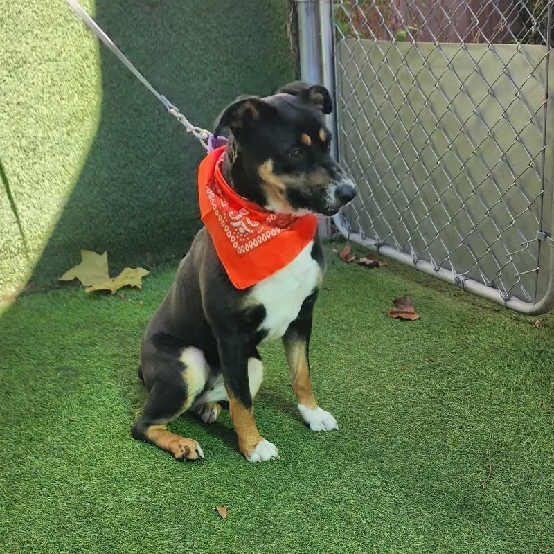 Caroline thumbnail 5