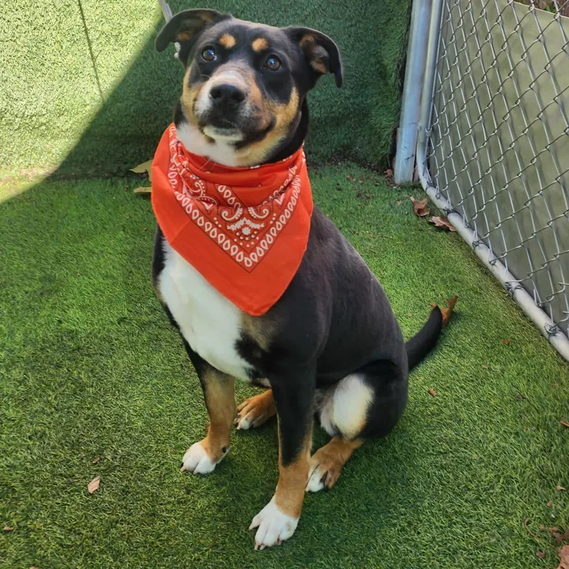 Caroline thumbnail 6