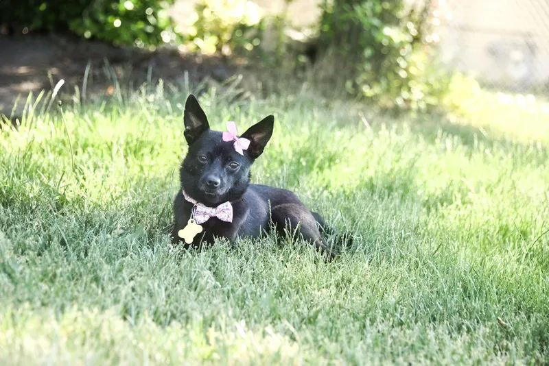 Evelyn Grace