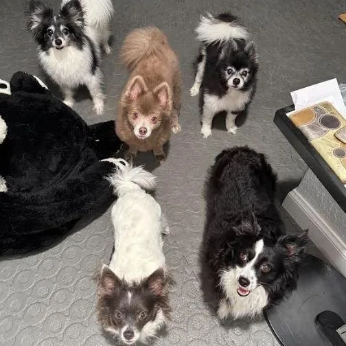 Pete And Miami thumbnail 5