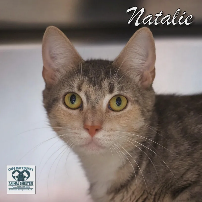 Natalie thumbnail 3