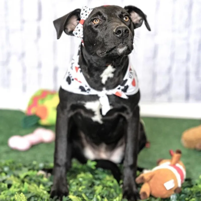 Macarena thumbnail 3