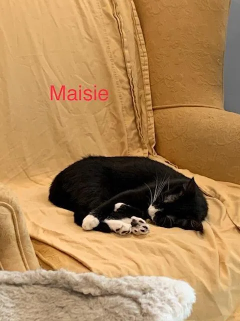Maisie R. Courtesy Listing thumbnail 3
