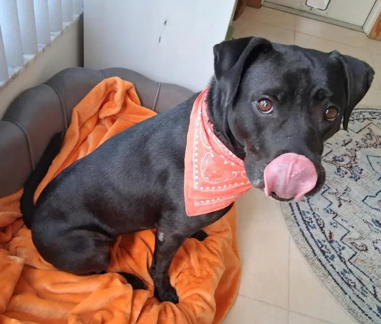 Lola thumbnail 2