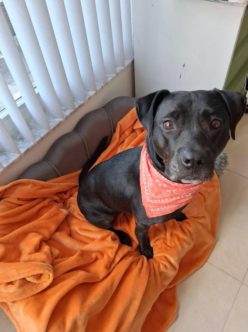 Lola thumbnail 3