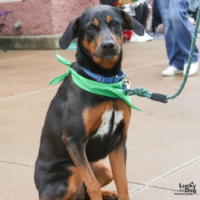 Lilly Ann thumbnail 2