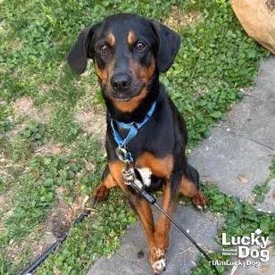 Lilly Ann thumbnail 3