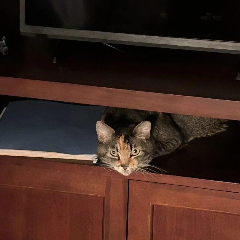 Sasha @ Fat Cat thumbnail 2