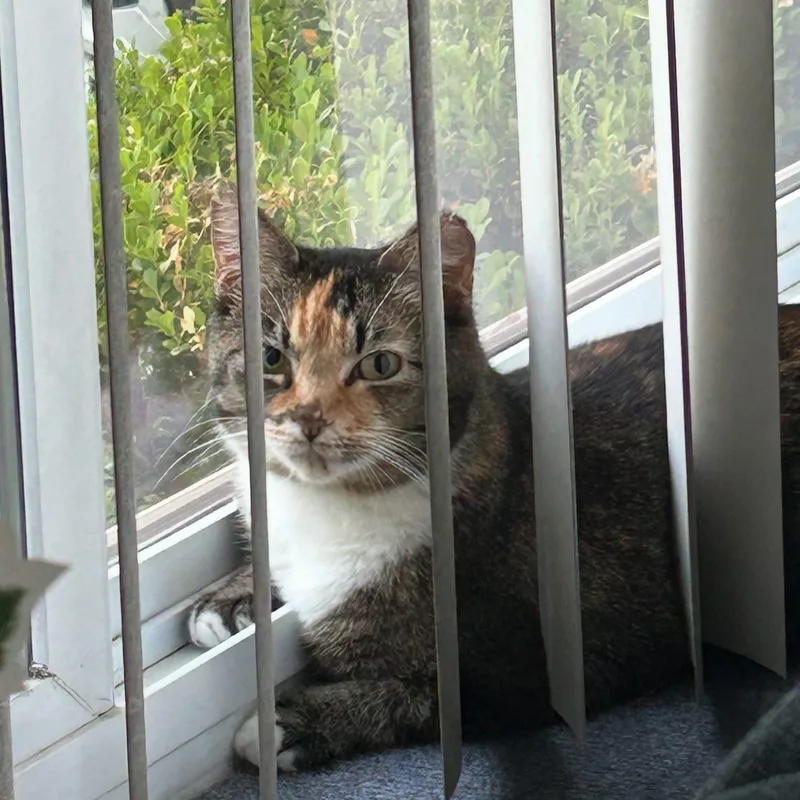 Sasha @ Fat Cat thumbnail 5