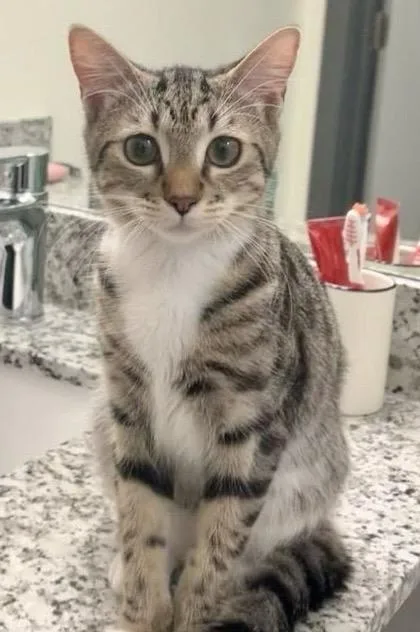 Stevie Ray thumbnail 2