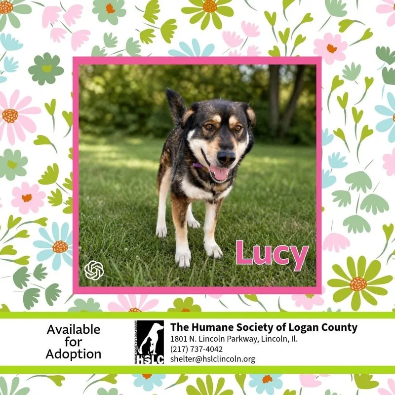 Lucy
