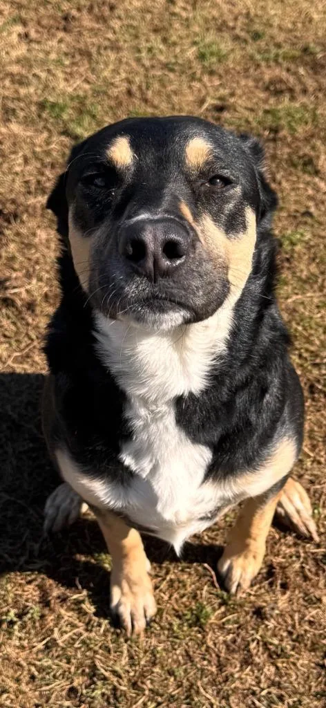 Cleopatra thumbnail 2