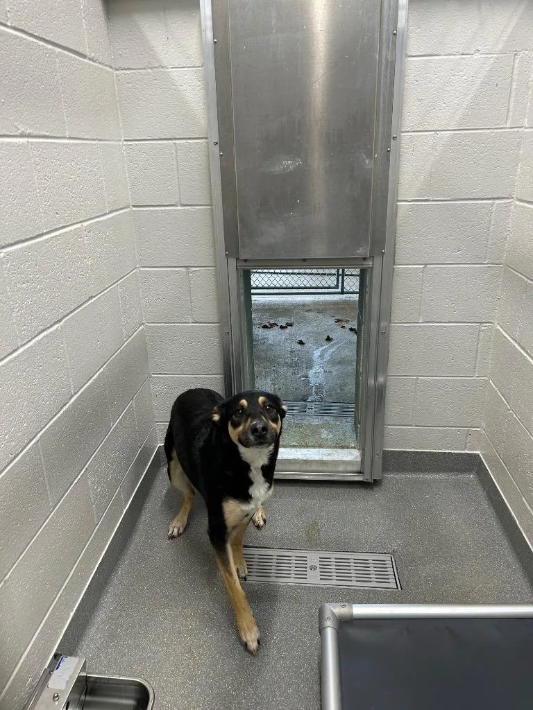 Cleopatra thumbnail 3