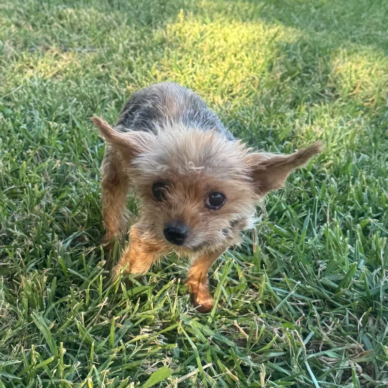 Penny Mae thumbnail 2