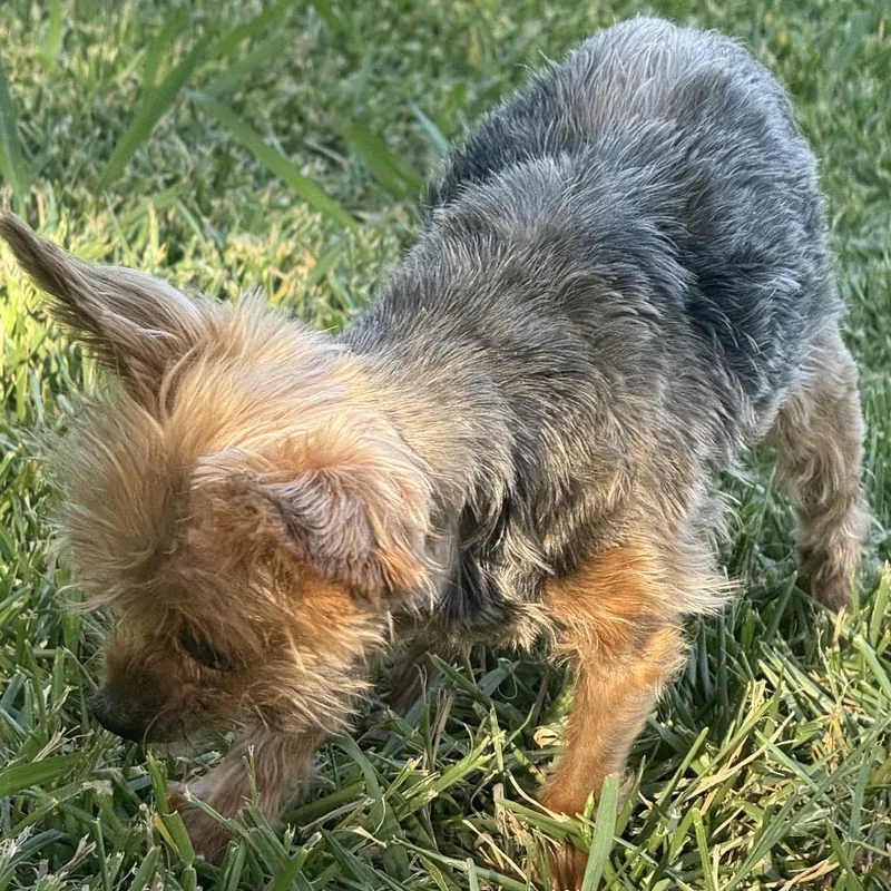 Penny Mae thumbnail 3