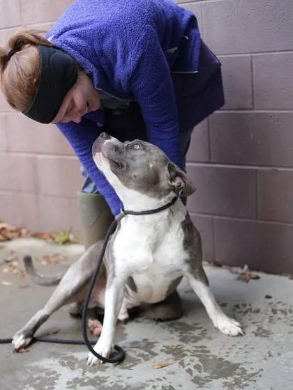 Ebenezer thumbnail 4