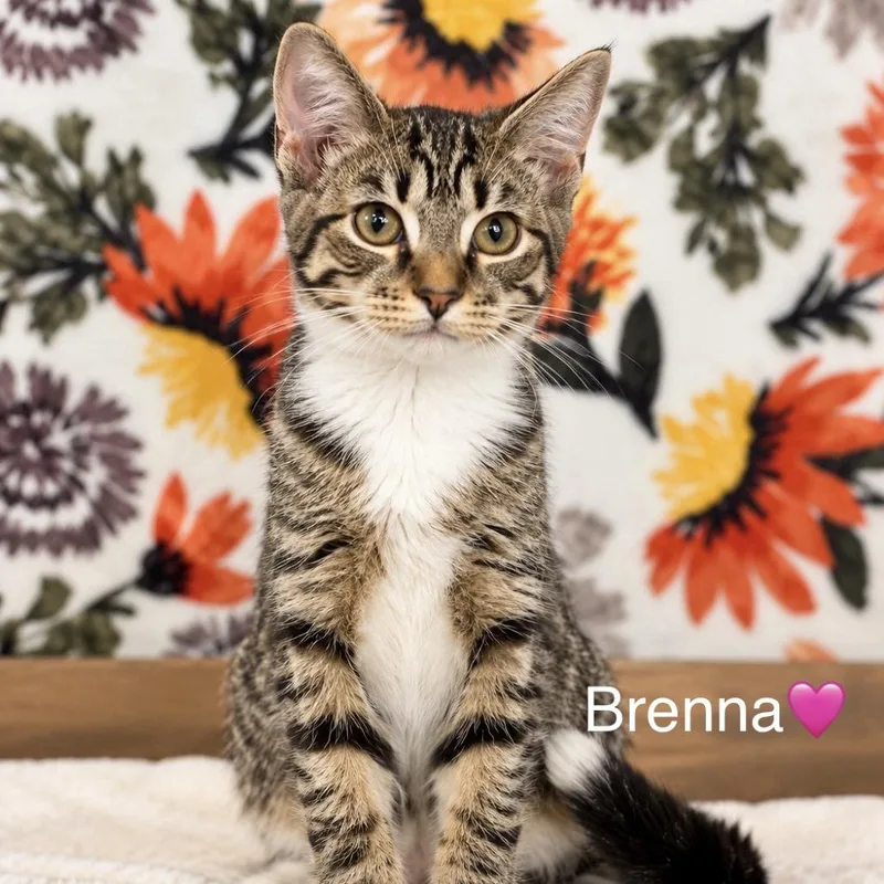 Breena thumbnail 2