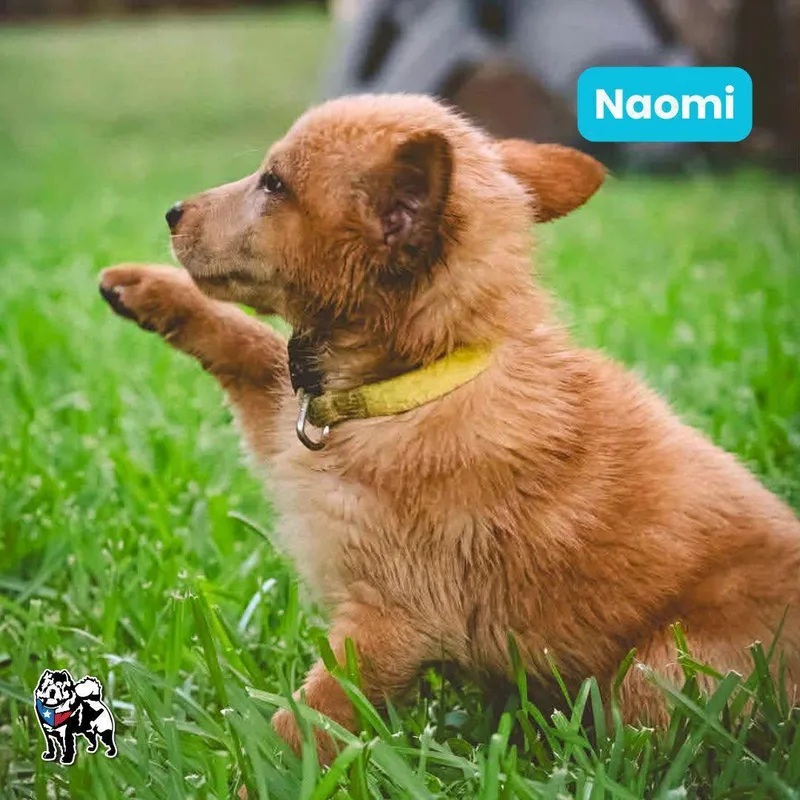 Naomi thumbnail 2