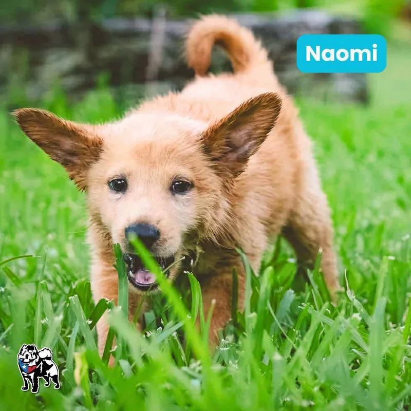 Naomi thumbnail 3