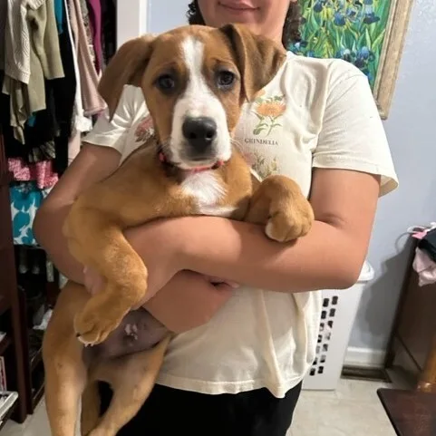 Elvis Doolittle thumbnail 4