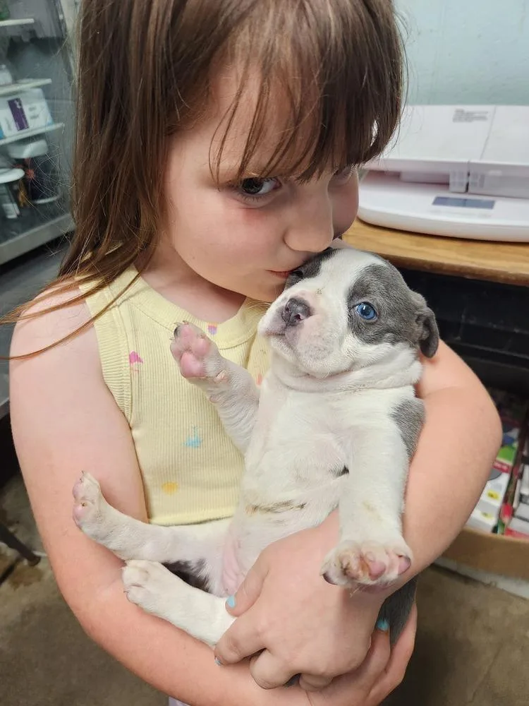 Lila June A thumbnail 5