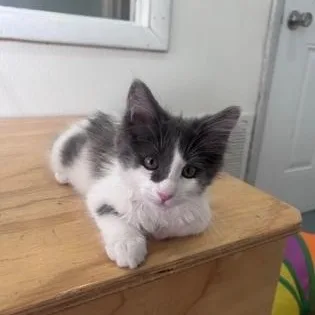 Carl