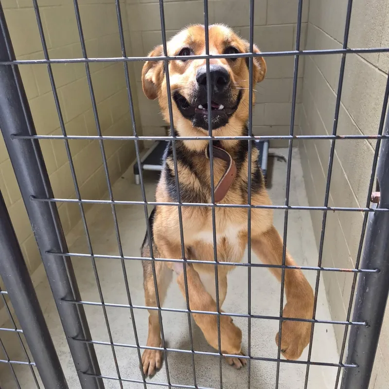 Clint Eastwood thumbnail 2