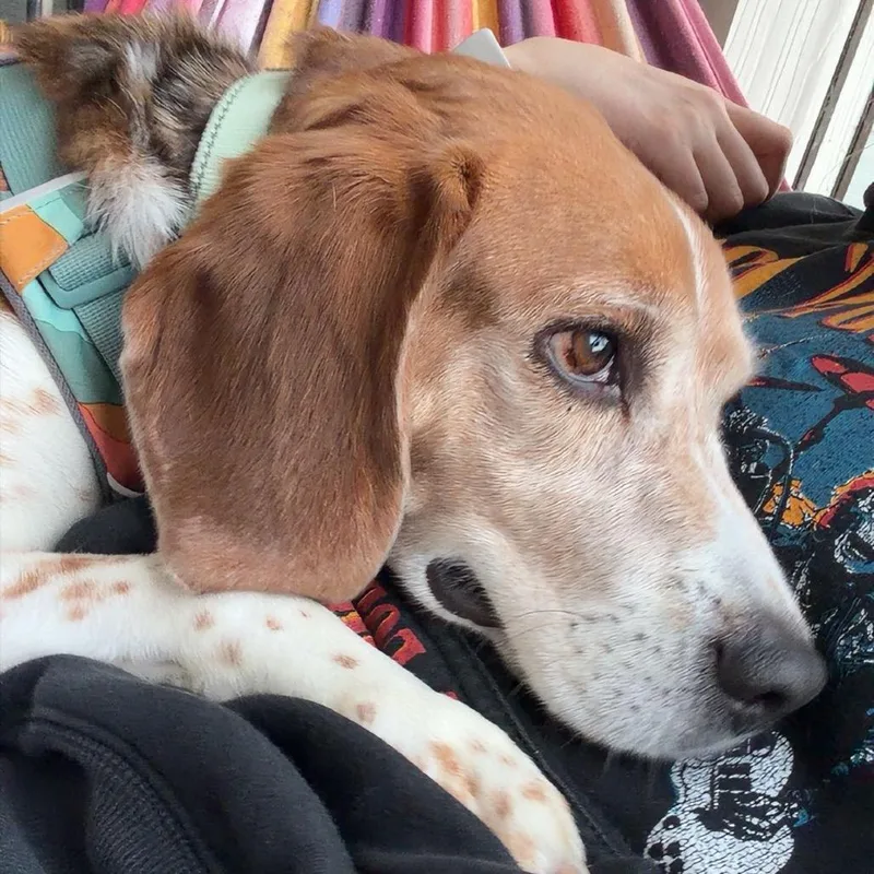 Glenn Cooper thumbnail 2