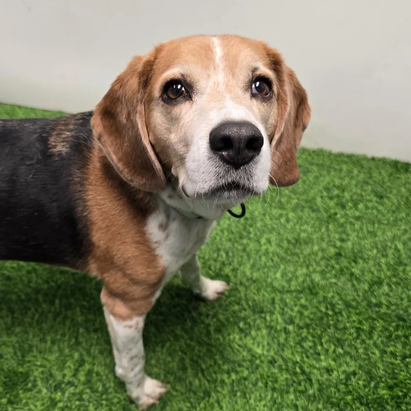 Glenn Cooper thumbnail 3