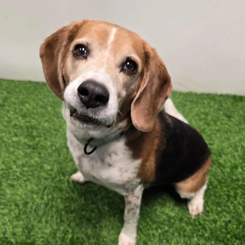 Glenn Cooper thumbnail 4