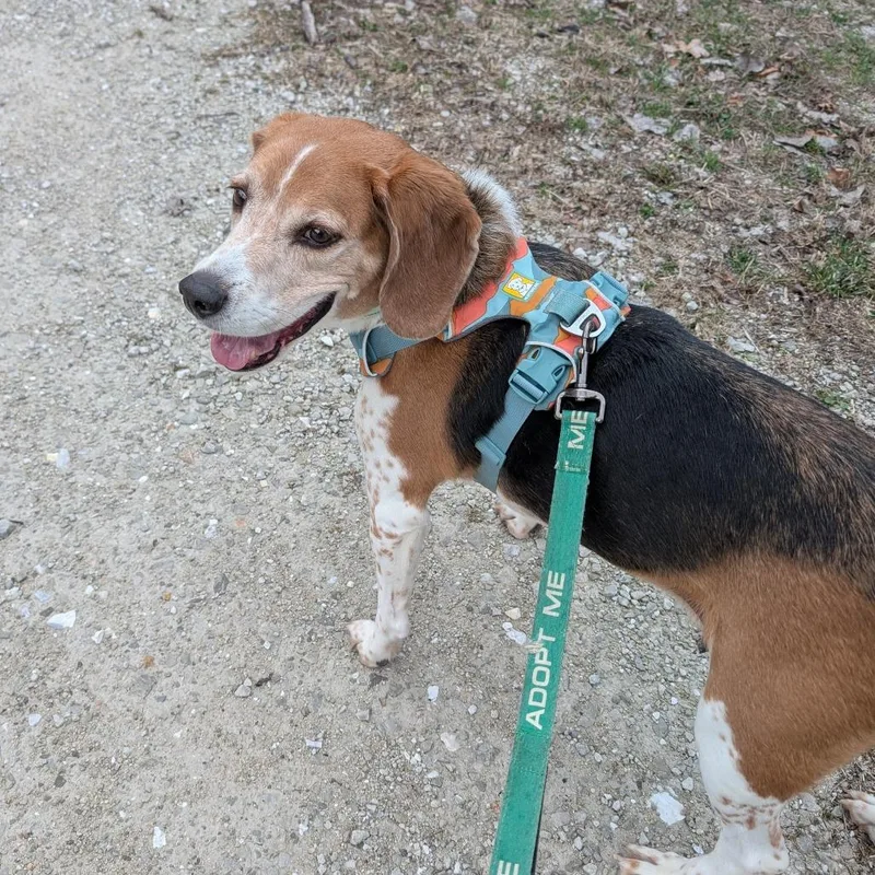 Glenn Cooper thumbnail 5