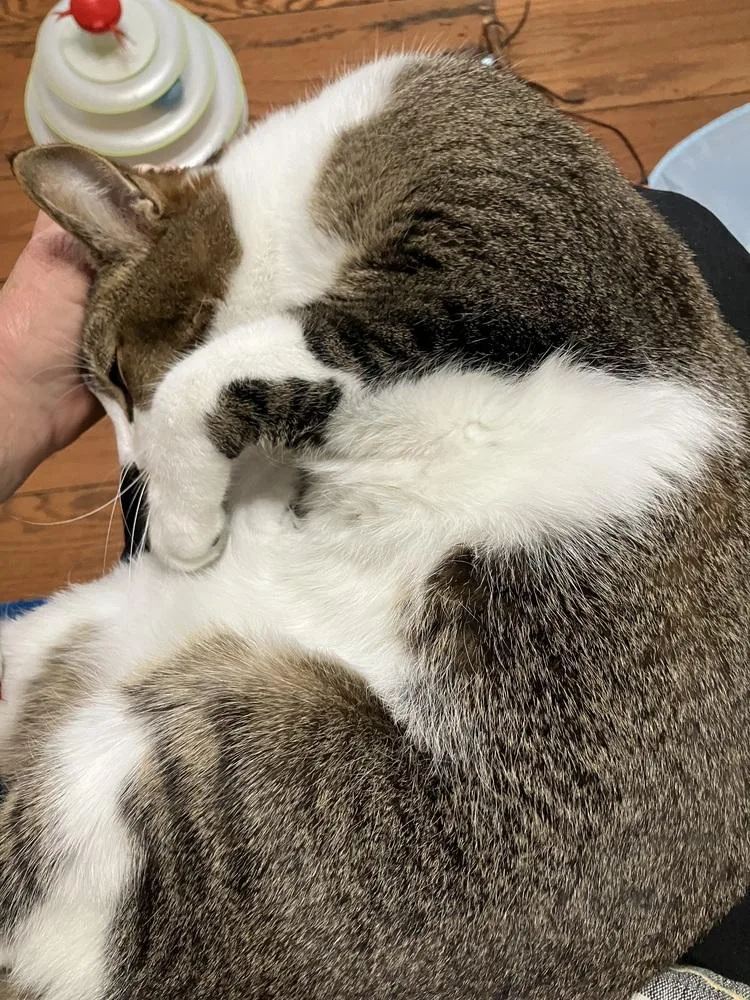 Sammie G thumbnail 2