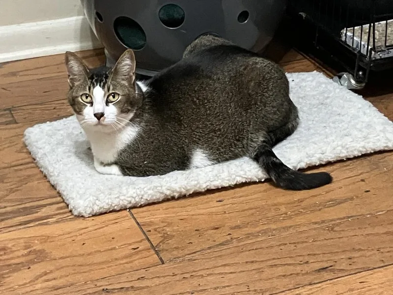 Sammie G thumbnail 3