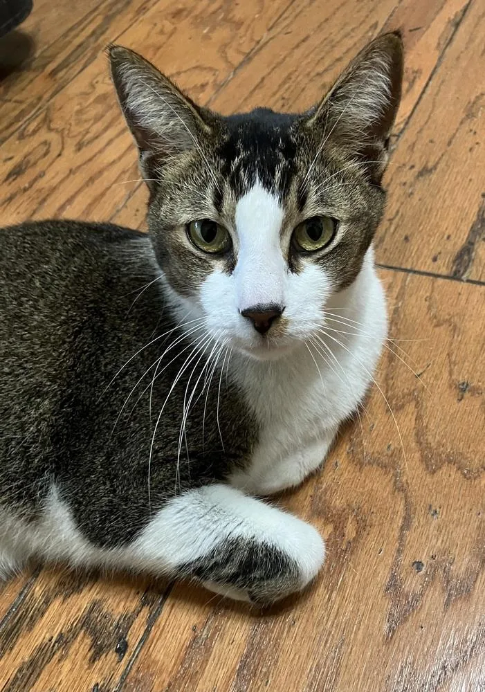 Sammie G thumbnail 4