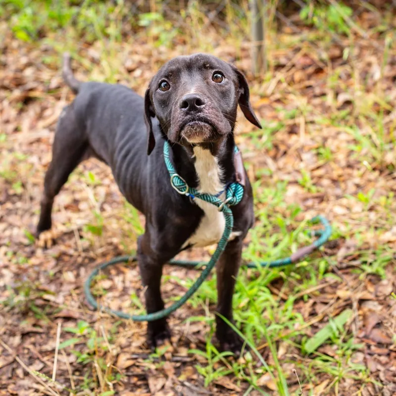 Produce Section