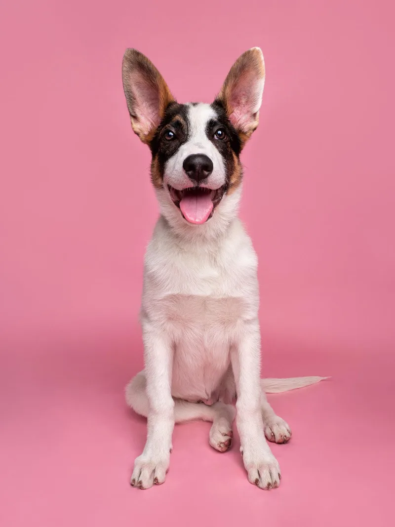 Subwoofer thumbnail 2