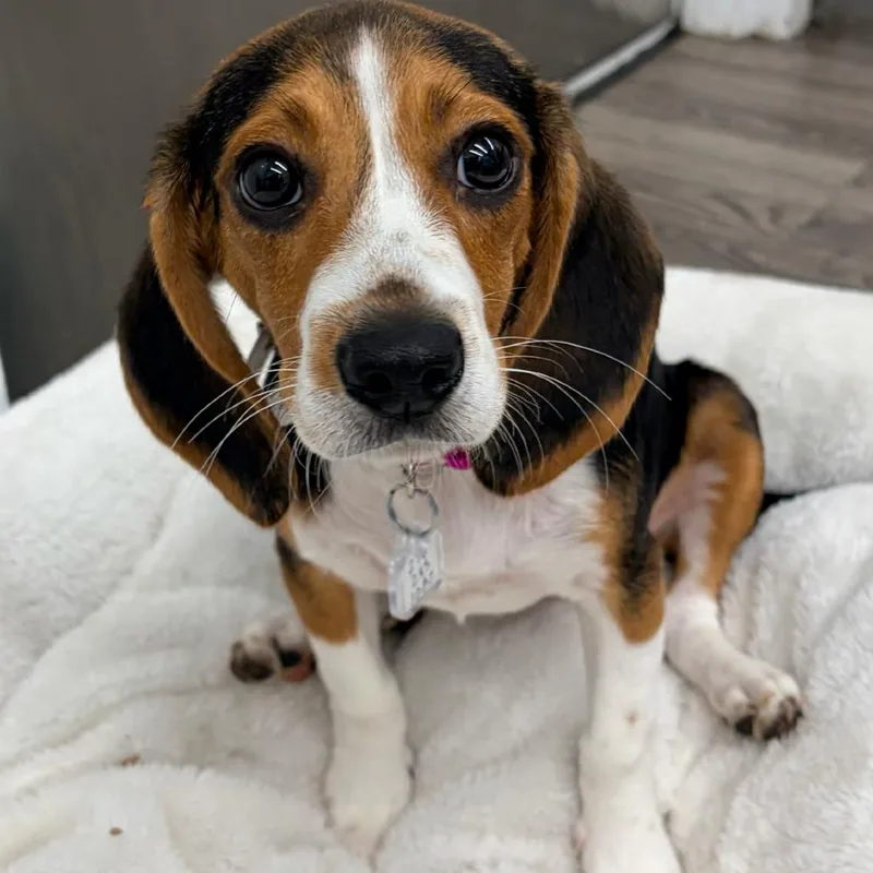 Ella Mae thumbnail 2