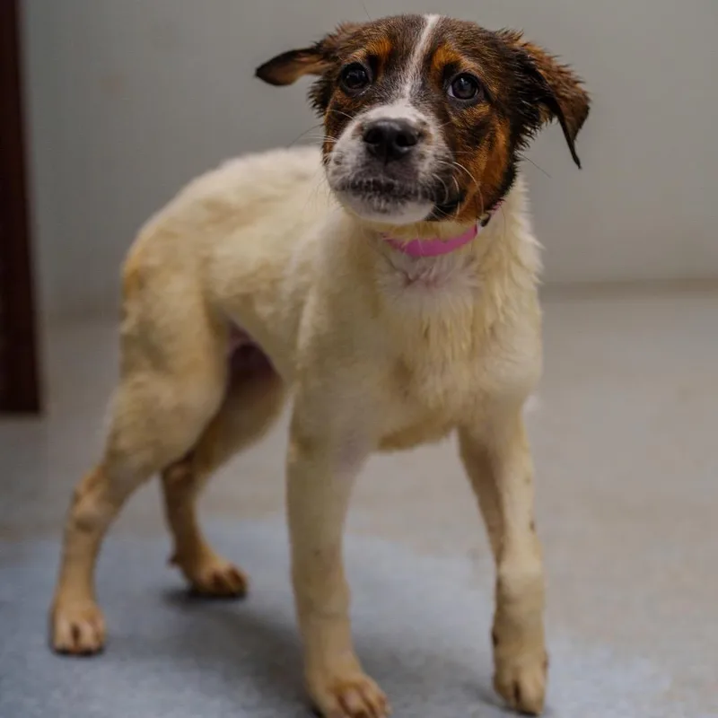 Michelle Williams thumbnail 2